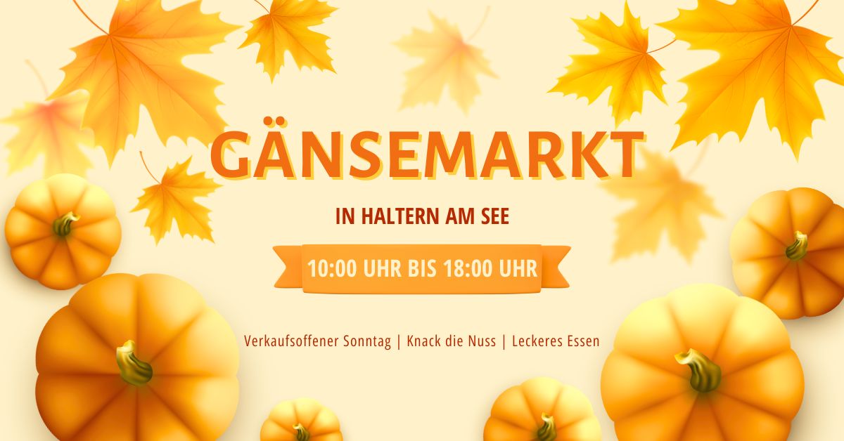 Gänsemarkt Haltern am See 2024