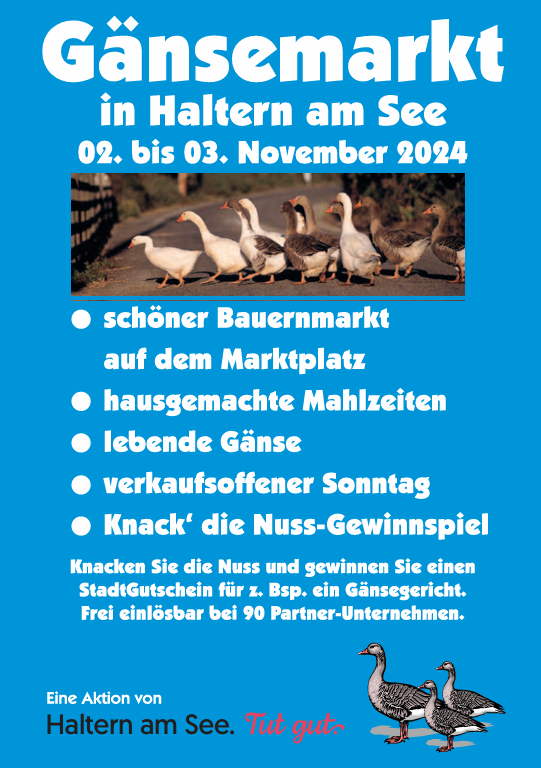 Plakat Gänsemarkt 2024