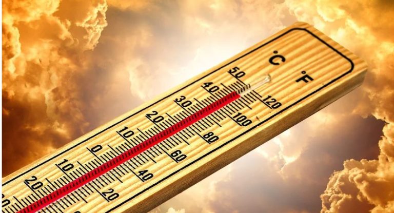 Rekordjahr 2024: Wärmstes und sehr nasses Jahr in der Emscher-Lippe-Region