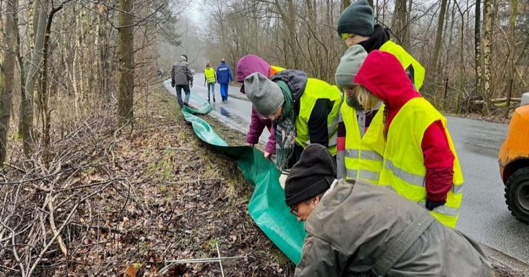 Aufbau des Amphibienschutzzaunes in Haltern: Engagement für die Natur