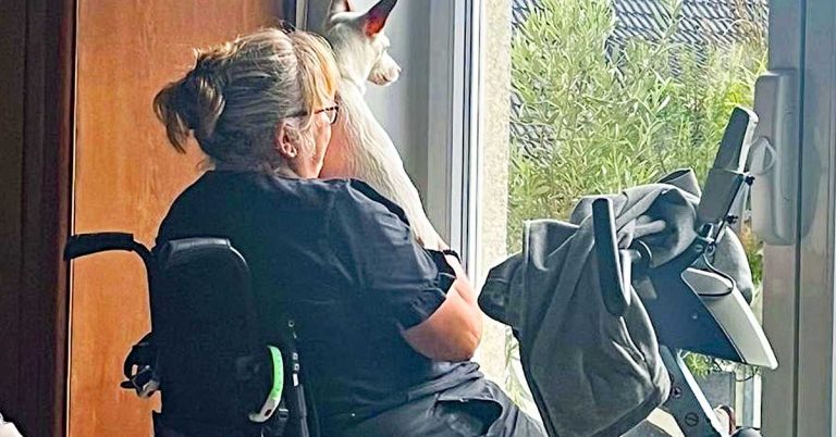 Spendenaktion: Ein Rollstuhlaufzug für Gudrun aus Haltern am See