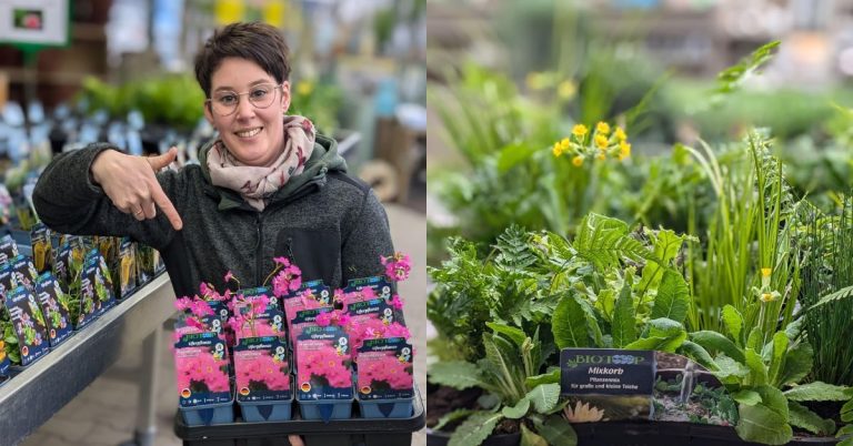 Teichpflanzen-Paradies im Raiffeisenmarkt Haltern am See 