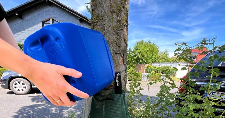 Kreis Recklinghausen verteilt wieder Bewässerungsbeutel – auch in Haltern