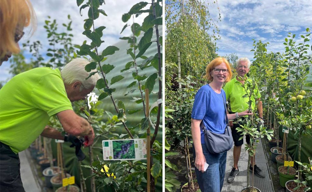 Die Ortsunion Lavesum ist ihrer Nominierung gefolgt Sabine Klimpel hat einen Pflaumenbaum gekauft,