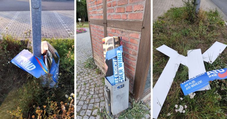 AfD-Wahlplakate in Haltern am See massiv zerstört – Anzeigen gegen Unbekannt