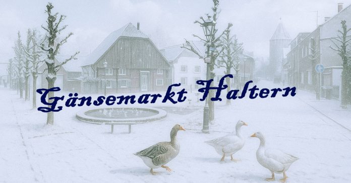 Gänsemarkt Haltern am See