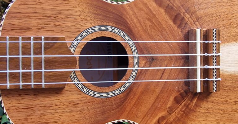 Musikalische Grundausbildung mit Schwerpunkt Ukulele/ Cajón