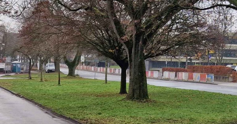 Straßenumbau in Haltern: Holtwicker Straße und Rochfordstraße im Fokus