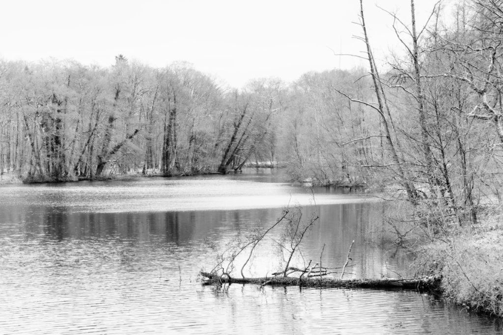 Die Oberstever am Alten Garten