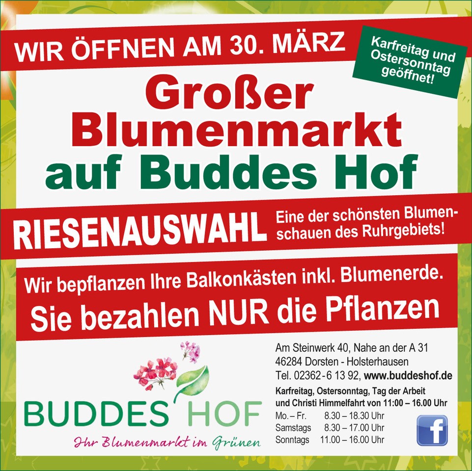 Anzeige Budde 2026