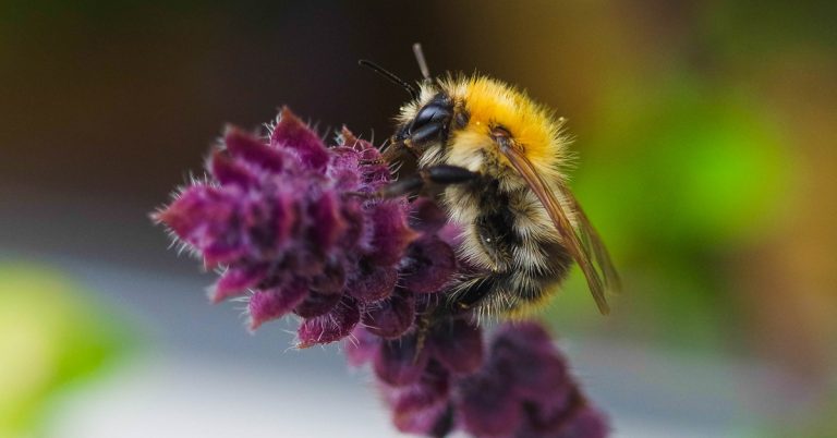 Stadt ruft zur Teilnahme am Wettbewerb „abflastern“ in Haltern auf