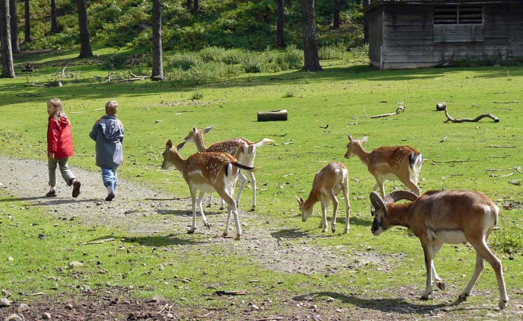 Freizeit- und Naturpark Granat
