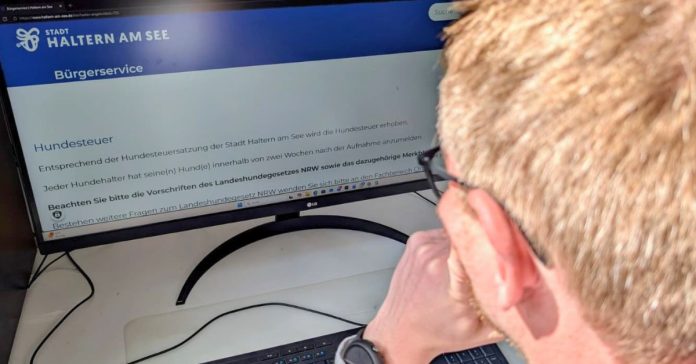 Person meldet Hund online über das Serviceportal der Stadt Haltern am See an