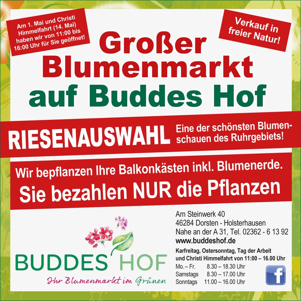 Anzeige Budde 2026