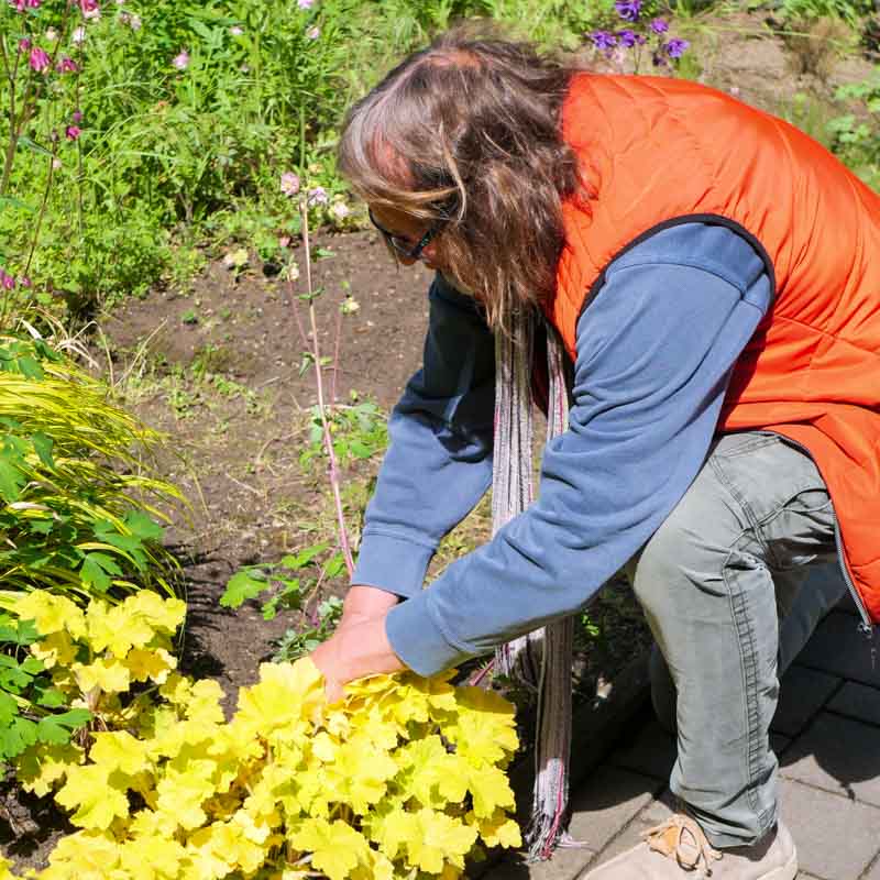 Gemeinsamer Garten LWL Wohnhaus