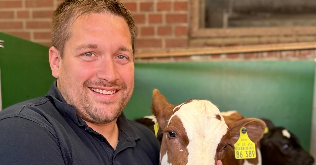 Milchbauer Matthias Schulte-Althoff mit einem Kalb im Stall