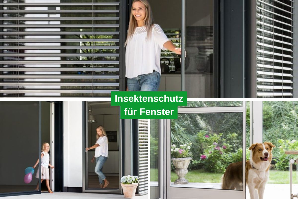 Insektenschutz an Fenstern und Türen mit Blick in Wohnräume und Garten